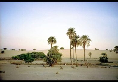 Kanem : les conseillers communaux de Mao alertent sur la gestion de la commune