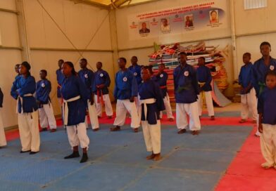 Sport : Des jeunes nanbudokas passent avec succès leur grade à N’Djaména